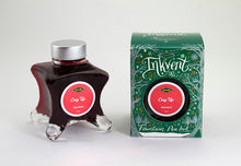Load image into Gallery viewer, Diamine Fountain Pen Ink - Inkvent Green Edition - Cosy Up
